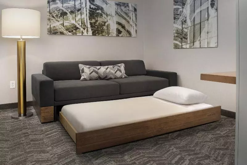 キングサイドベッドのスタンダードワンルーム, Springhill Suites Potomac Mills Woodbridge