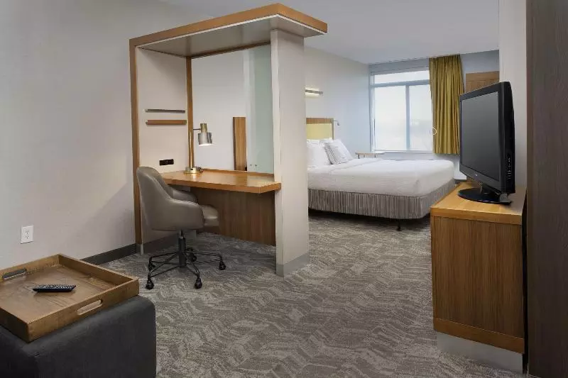 キングサイドベッドのスタンダードワンルーム, Springhill Suites Potomac Mills Woodbridge