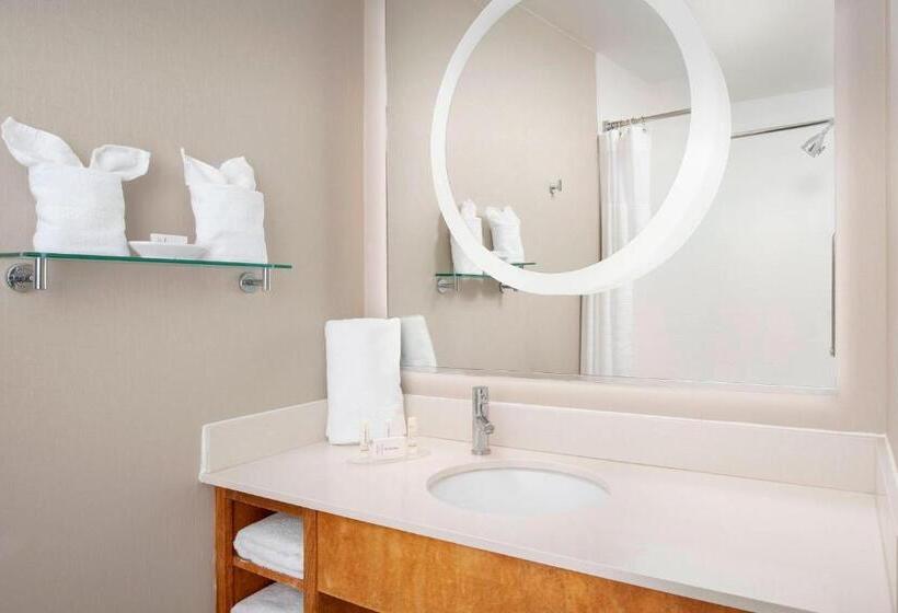 إستوديو قياسى سرير كينج, Springhill Suites Potomac Mills Woodbridge