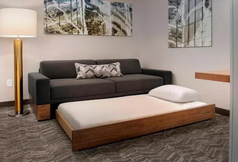 キングサイドベッドのスタンダードワンルーム, Springhill Suites Potomac Mills Woodbridge