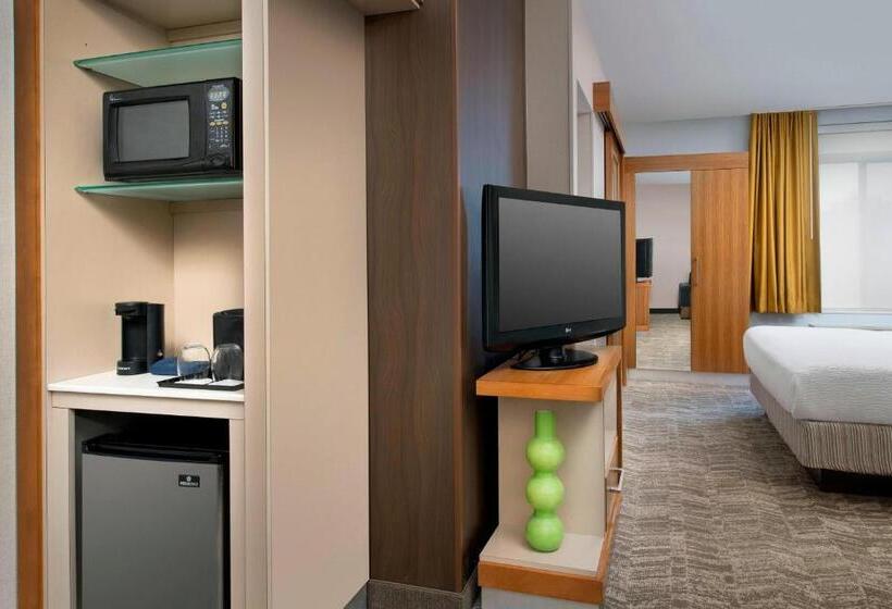 Студио Стандарт Кровать Кинг, Springhill Suites Potomac Mills Woodbridge