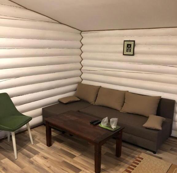 ２ベッドルームアパートメント, Pensiunea Vanatorul