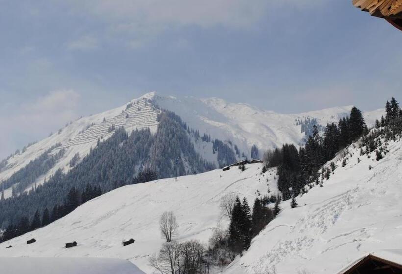 Апартаменты 1 Спальня с Балконом, Ferienhof Weissenbach