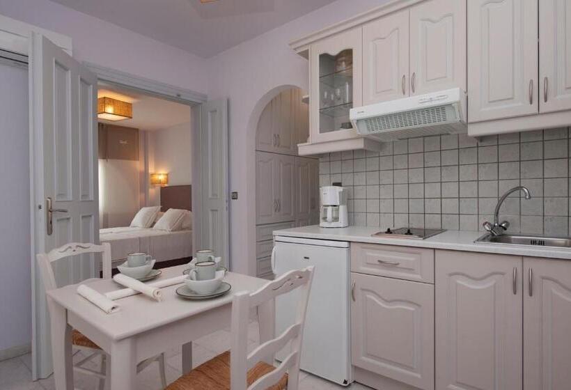 شقة غرفة واحدة, Ammos Naxos Exclusive Apartments & Studios