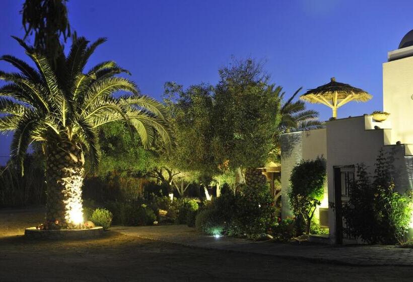 شقة غرفة واحدة, Ammos Naxos Exclusive Apartments & Studios