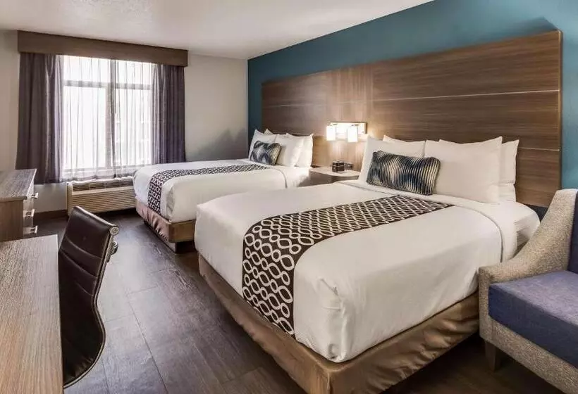 身障者適用スタンダードルーム, Best Western  Plus Champaign/urbana Inn