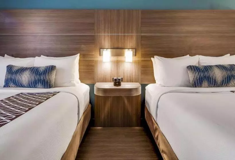 身障者適用スタンダードルーム, Best Western  Plus Champaign/urbana Inn