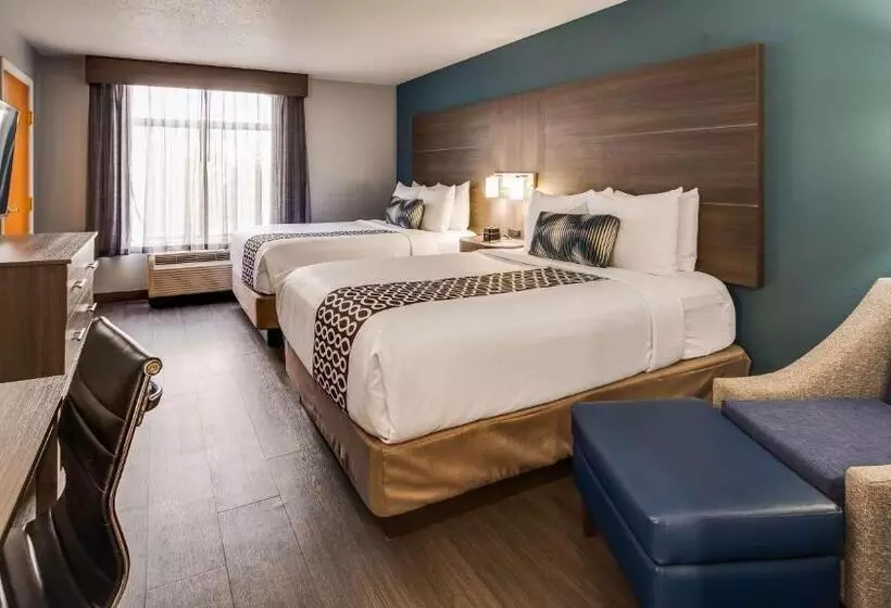 身障者適用スタンダードルーム, Best Western  Plus Champaign/urbana Inn