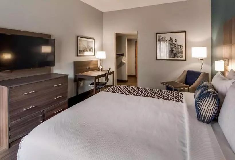 身障者適用キングサイズベッドルーム, Best Western  Plus Champaign/urbana Inn