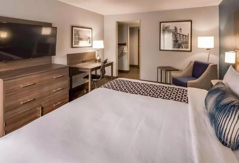 身障者適用キングサイズベッドルーム, Best Western  Plus Champaign/urbana Inn