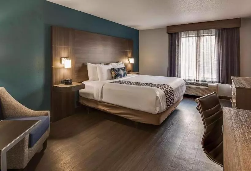 身障者適用キングサイズベッドルーム, Best Western  Plus Champaign/urbana Inn