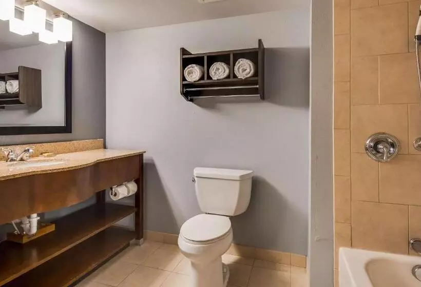 ２ダブルベッドのスタンダードルーム, Best Western  Plus Champaign/urbana Inn