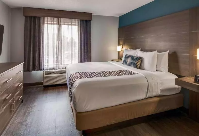 キングサイズベッドのスタンダードルーム, Best Western  Plus Champaign/urbana Inn