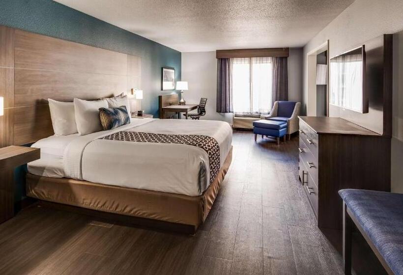 Стандартный Номер Кровать Кинг, Best Western Plus Champaign/urbana Inn