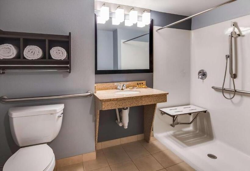 Номер Стандарт Кровать Кинг Адаптированный для Инвалидов, Best Western Plus Champaign/urbana Inn