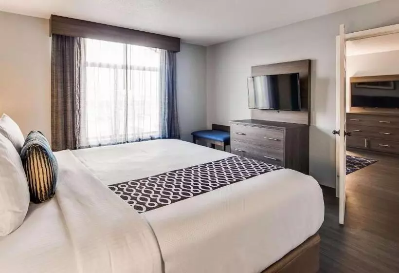 キングサイズベッドのスイートルーム, Best Western  Plus Champaign/urbana Inn