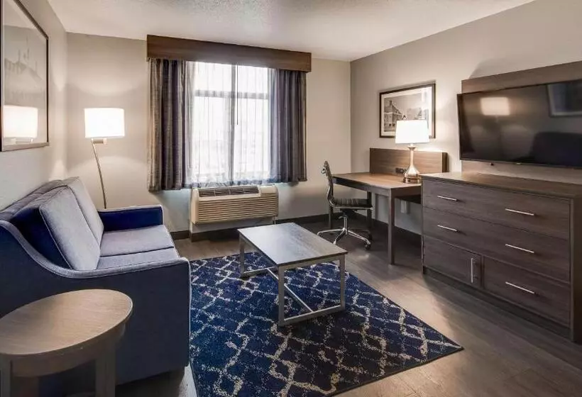 キングサイズベッドのスイートルーム, Best Western  Plus Champaign/urbana Inn