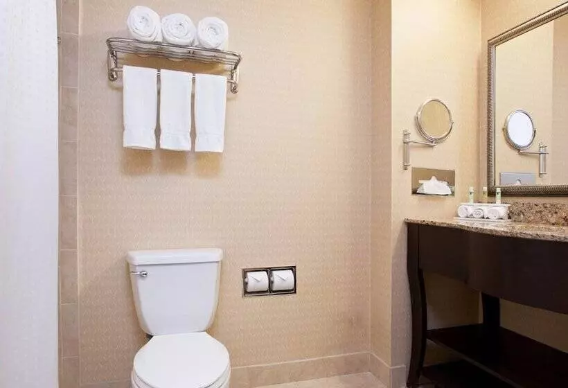 スタンダードルーム, Holiday Inn Express And Suites Allentown West, An Ihg