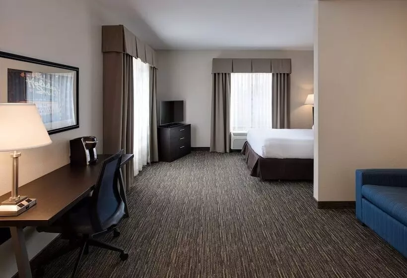 Sviitti, Holiday Inn Express & Suites East Wichita I 35 Andover, An Ihg