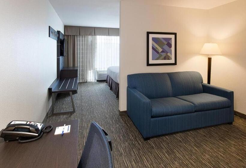 Люкс Кровать Кинг, Holiday Inn Express & Suites East Wichita I 35 Andover, An Ihg