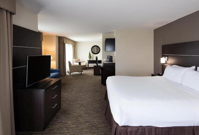 جناح سرير كينج, Holiday Inn Express & Suites East Wichita I 35 Andover, An Ihg