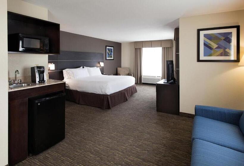 جناح سرير كينج, Holiday Inn Express & Suites East Wichita I 35 Andover, An Ihg