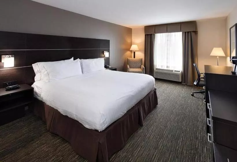 Standard-invahuone King-vuode, Holiday Inn Express & Suites East Wichita I 35 Andover, An Ihg