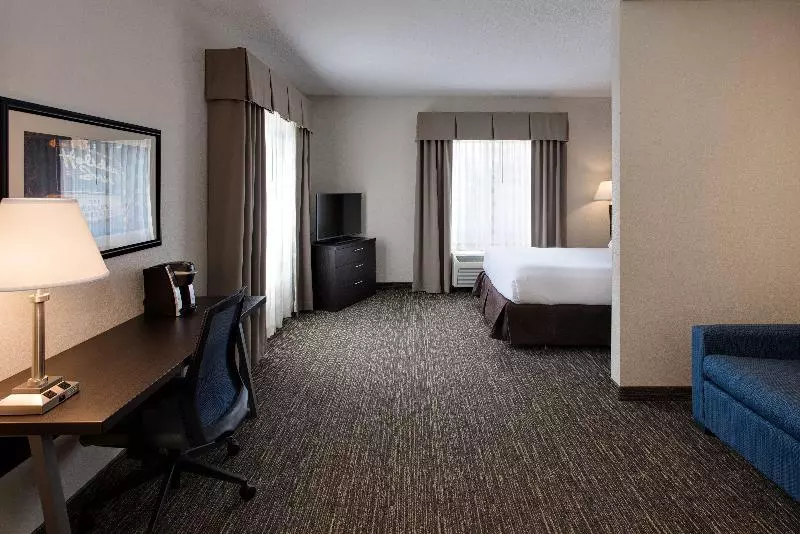 Sviitti King-vuode, Holiday Inn Express & Suites East Wichita I 35 Andover, An Ihg