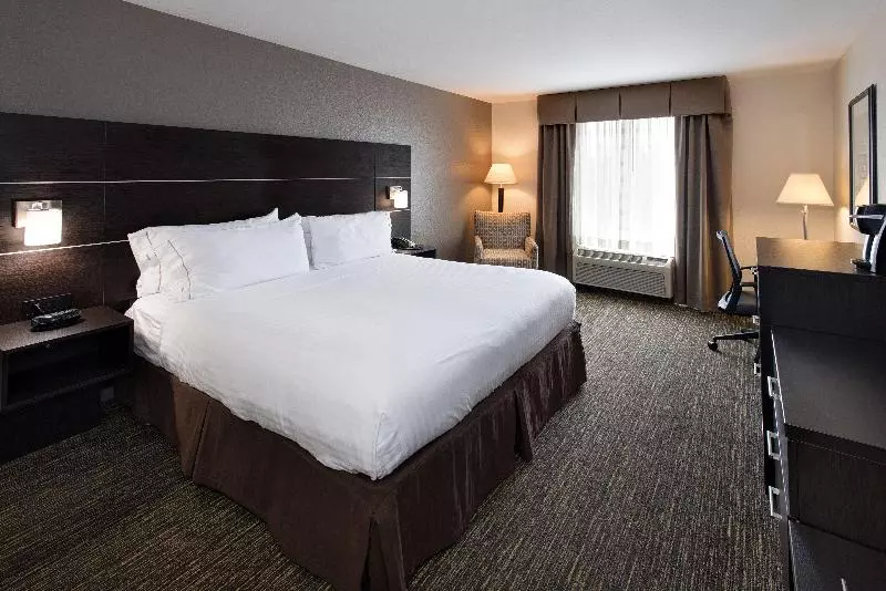 Standard-invahuone King-vuode, Holiday Inn Express & Suites East Wichita I 35 Andover, An Ihg