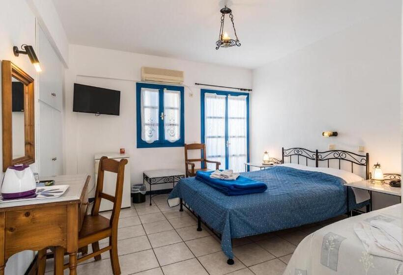 Номер Стандарт, Irigeneia