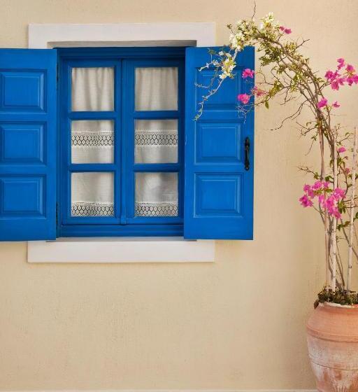 Номер Economy, Irigeneia