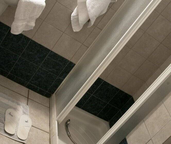 Номер Стандарт, Irigeneia