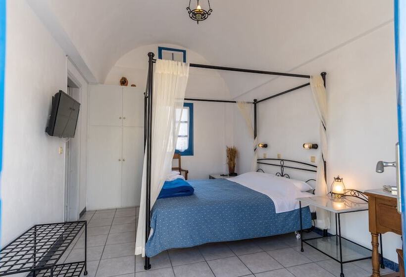 Номер Стандарт, Irigeneia