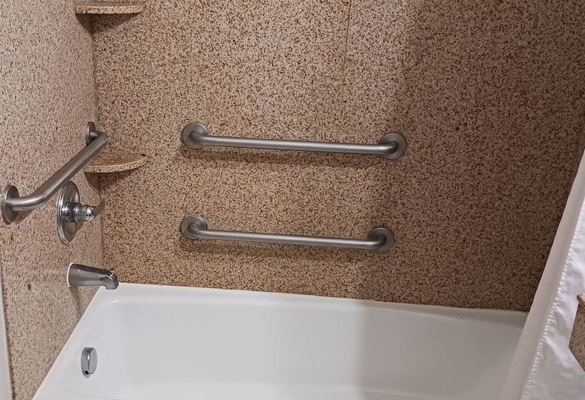 Люкс, Red Roof Inn & Suites Longview
