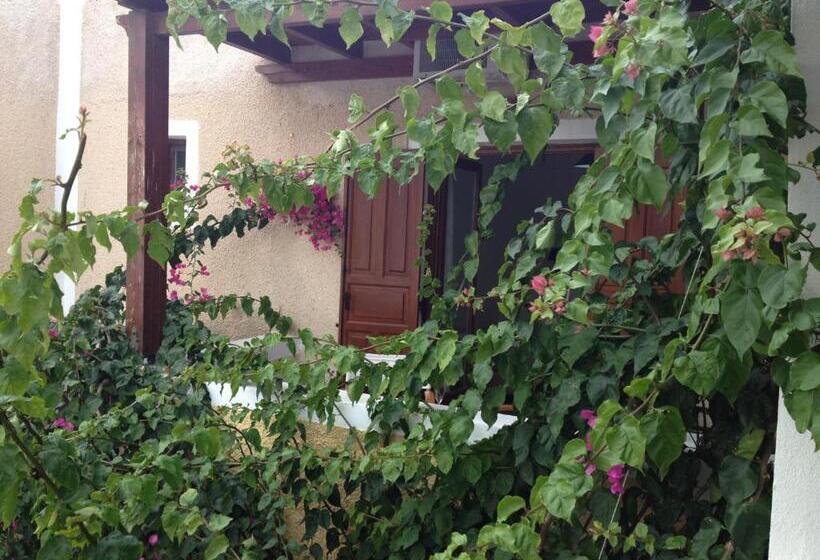 اتاق استاندارد با بالکن, Nostos Beach