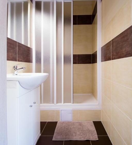 ルームシェアのワンベッド, Plus Prague