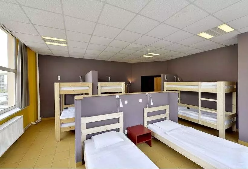 Cama em Quarto Compartilhado, Plus Prague