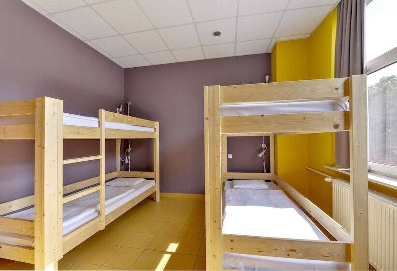 ルームシェアのワンベッド, Plus Prague