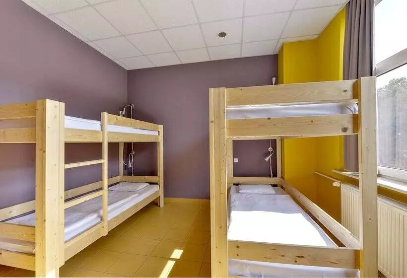 Cama em Quarto Compartilhado, Plus Prague
