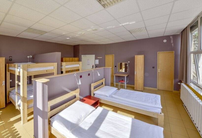 ルームシェアのワンベッド, Plus Prague