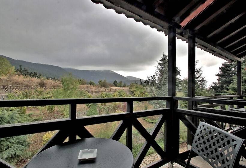 Deluxe Room Mountain View, Boutique Hotel Skamnos Arachova