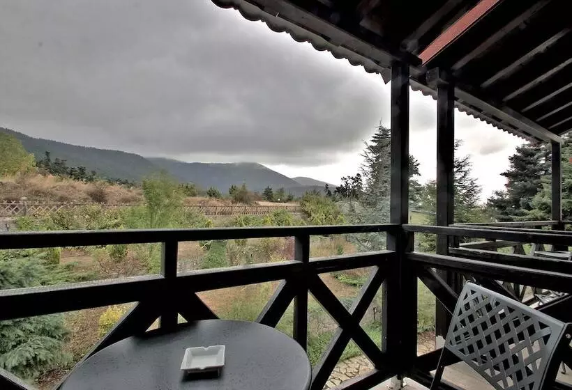 マウンテンビューデラックスルーム, Boutique Hotel Skamnos Arachova