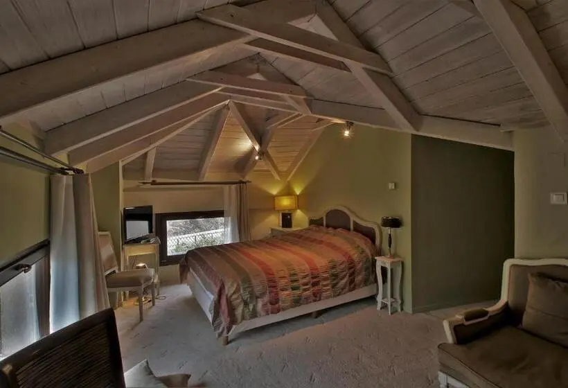 Deluxe-sviitti, Boutique Hotel Skamnos Arachova