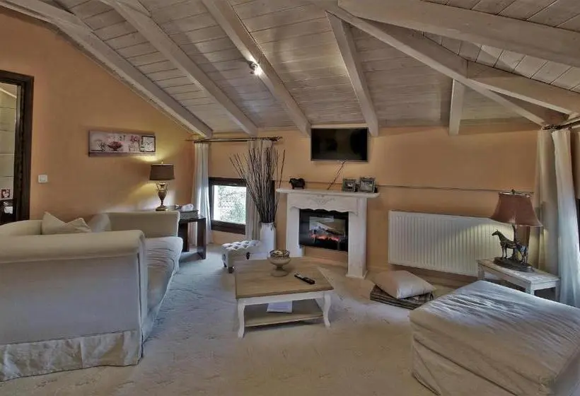 Executive-sviitti, Boutique Hotel Skamnos Arachova