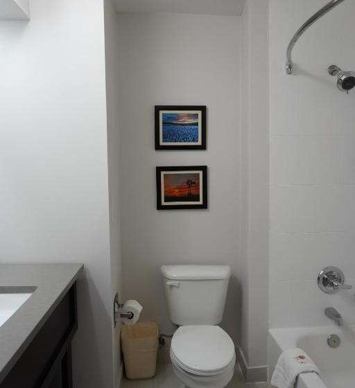 جناح سرير كينج, Comfort Inn & Suites Frisco   Plano