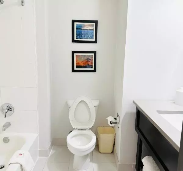 Standard-huone, Comfort Inn & Suites Frisco Plano