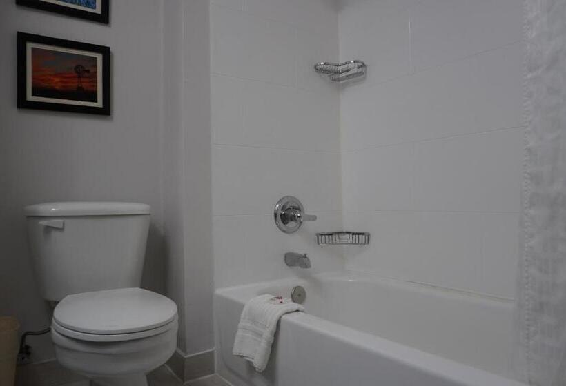 غرفة قياسية, Comfort Inn & Suites Frisco   Plano