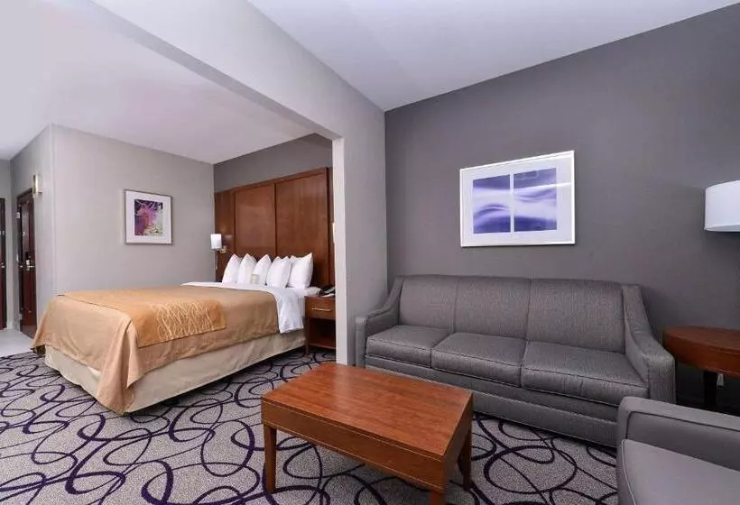 Standard-huone King-vuode, Comfort Inn & Suites Frisco Plano