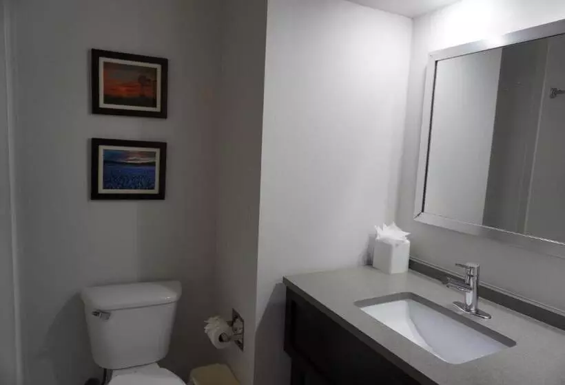 Sviitti, Comfort Inn & Suites Frisco Plano