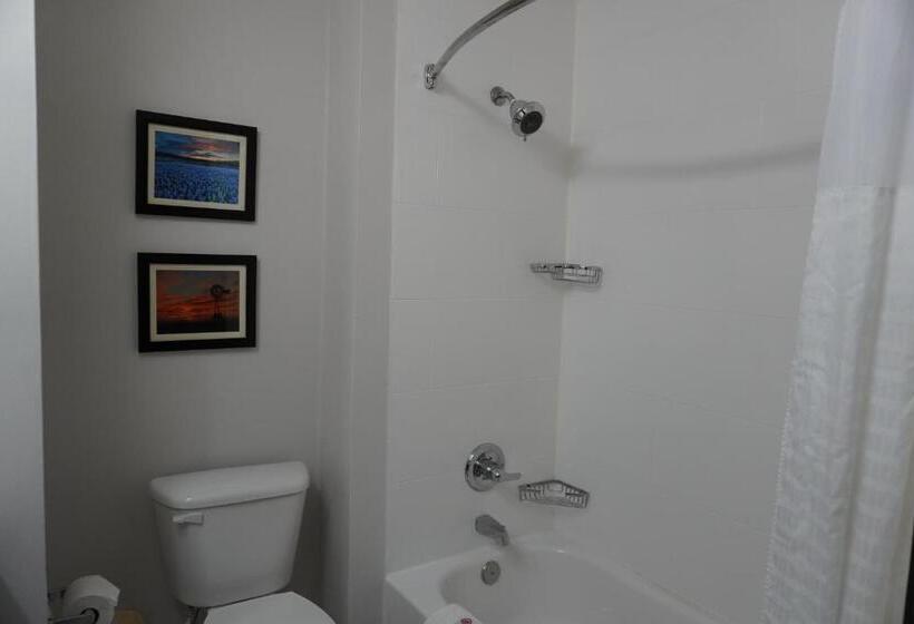 Люкс, Comfort Inn & Suites Frisco   Plano